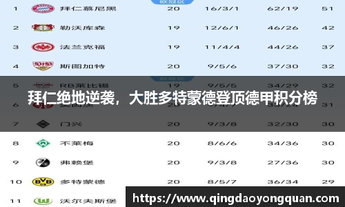 3377体育