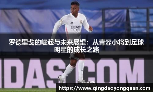 3377体育官网